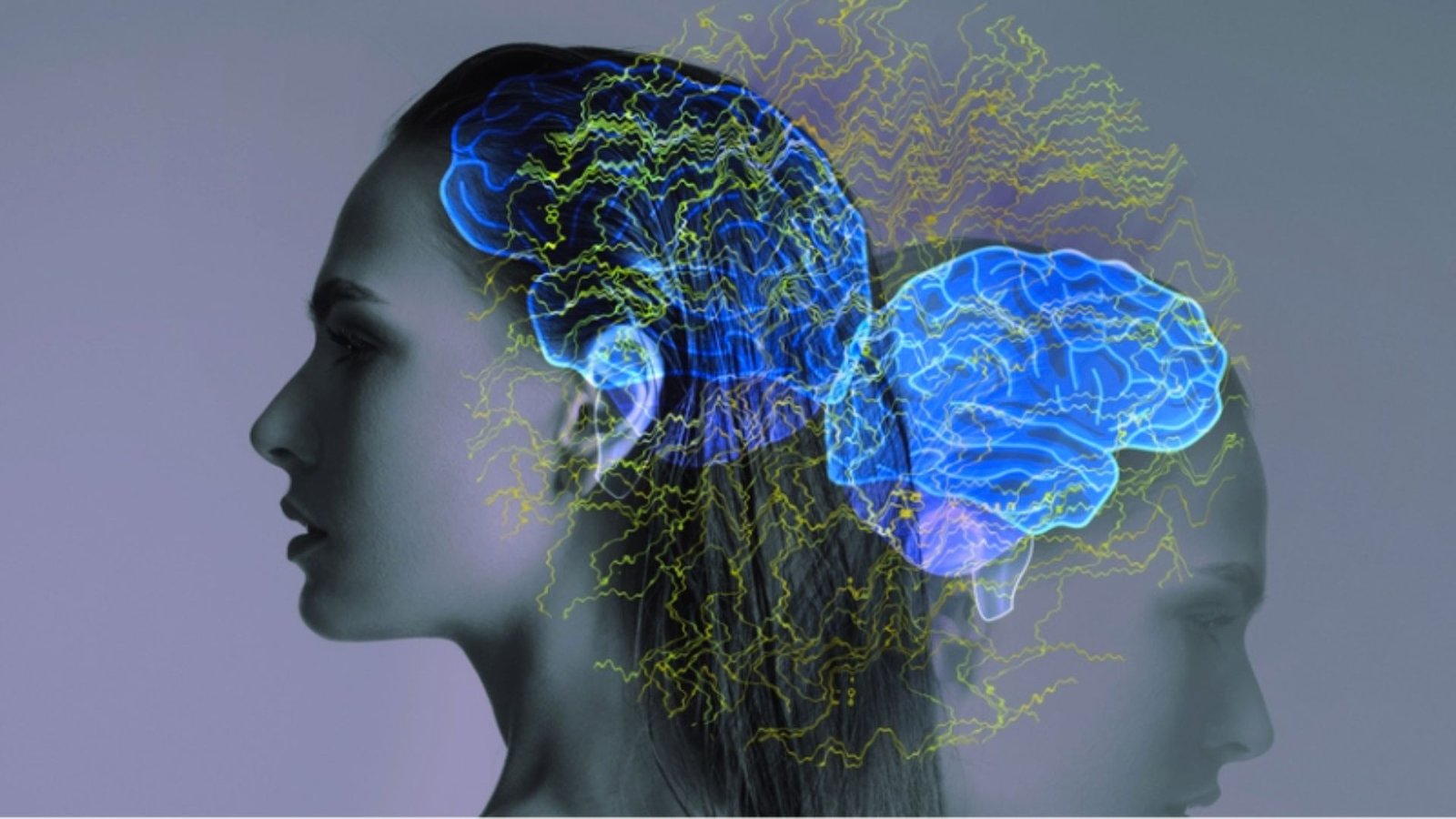 An illustration of a brain with another brain overlay, symbolizing cognitive processes and neural connections.