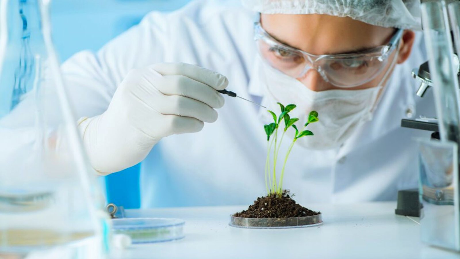  A man in a lab coat examines a green plant, showcasing his focus on botanical research.