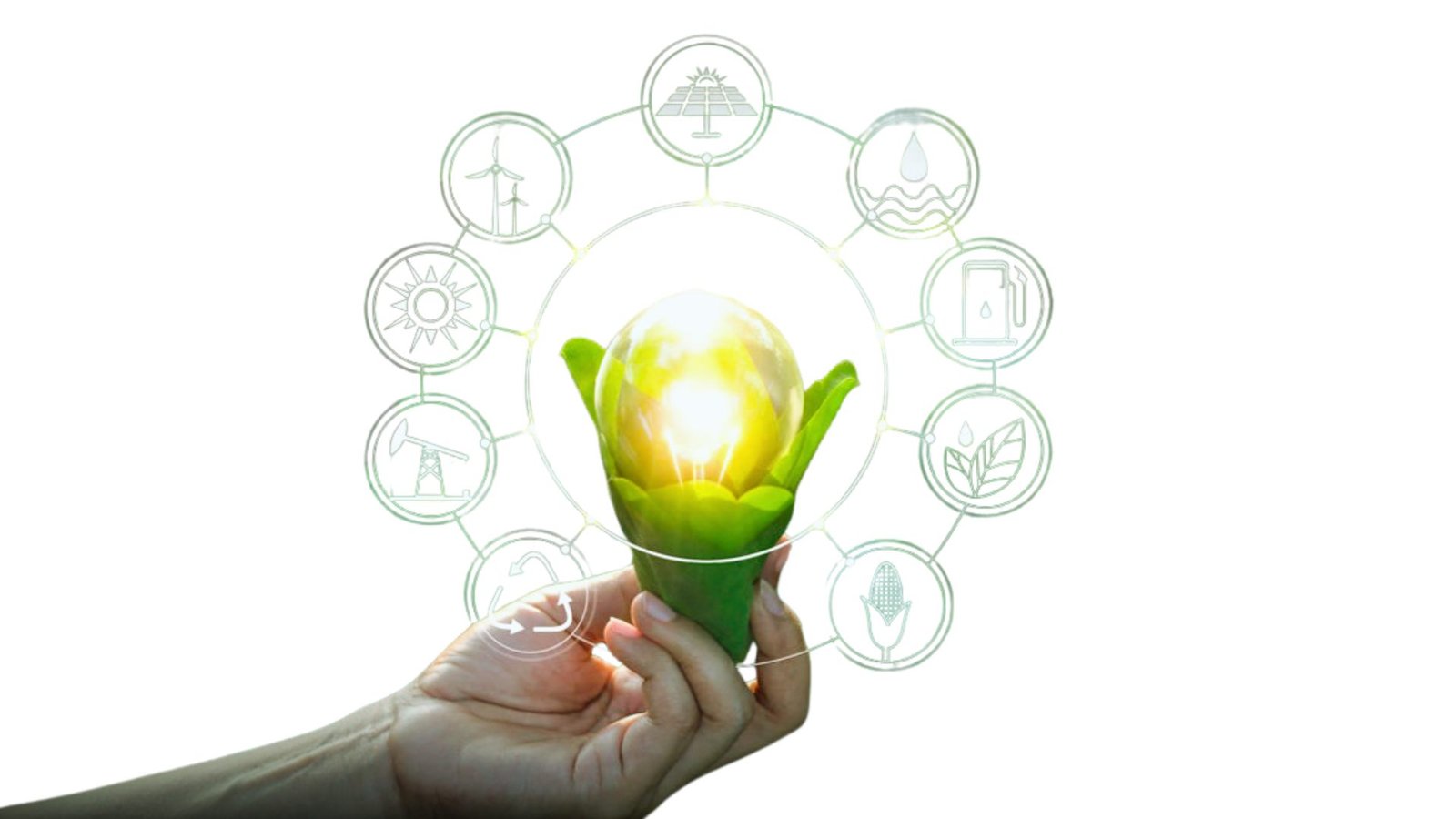 Sustainable and Green Technology Innovations