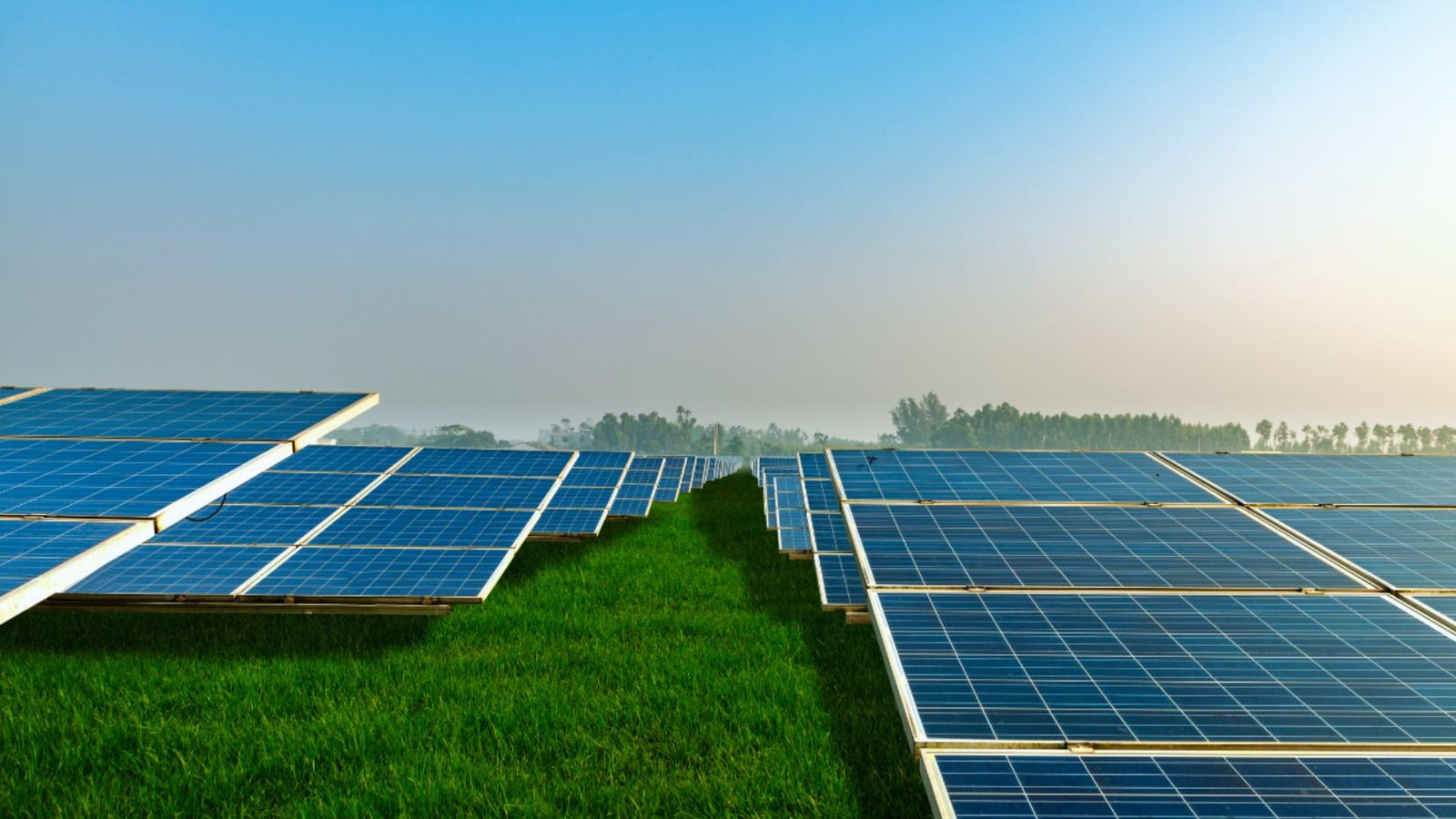  Solar panels installed on a lush green field under a clear blue sky, showcasing renewable energy in a natural setting.