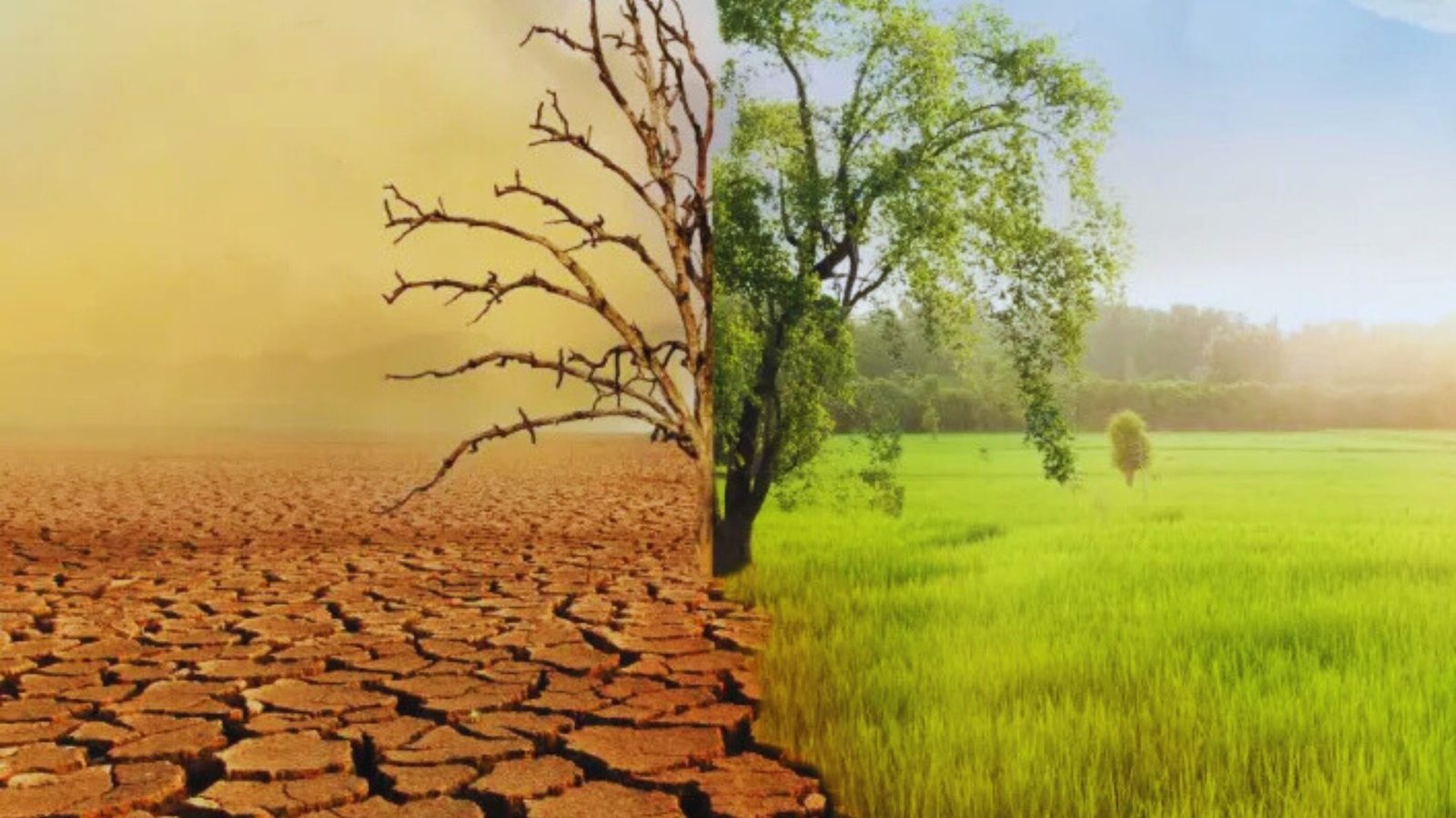 Diagram illustrating the distinction between climate change and global warming, highlighting their definitions and impacts